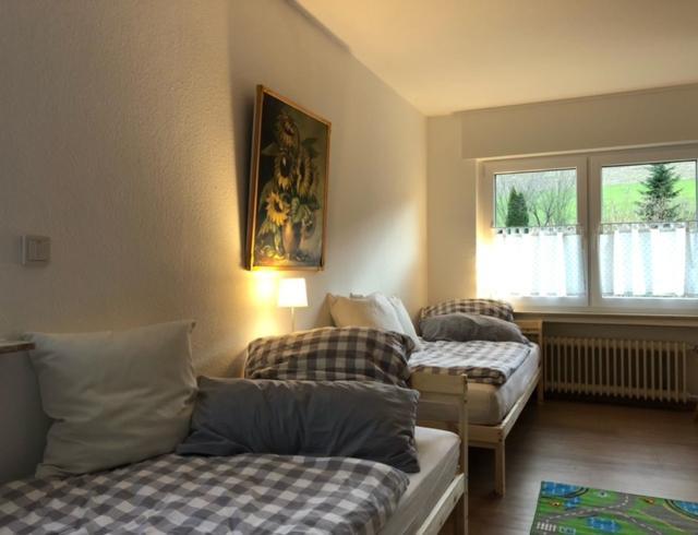 Ferienwohnung Paeusken Im Hochsauerland- E- Bike Und Auto Laden Moeglich Bestwig Extérieur photo